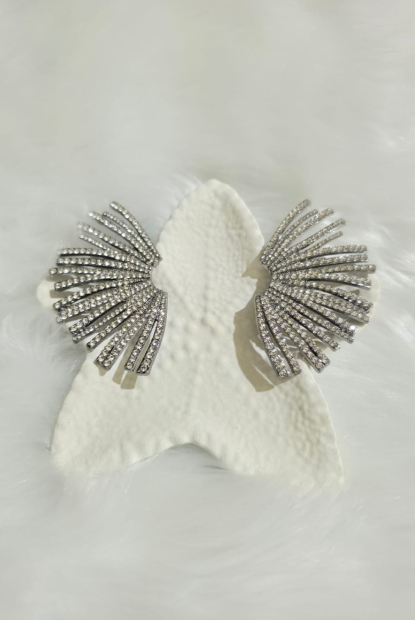 Crescent Earrings